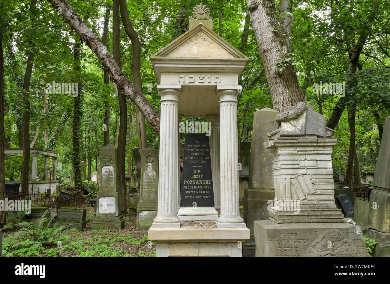 Grabsteine, Ehrengräber, Jüdischer Friedhof an der OkopowaStraße