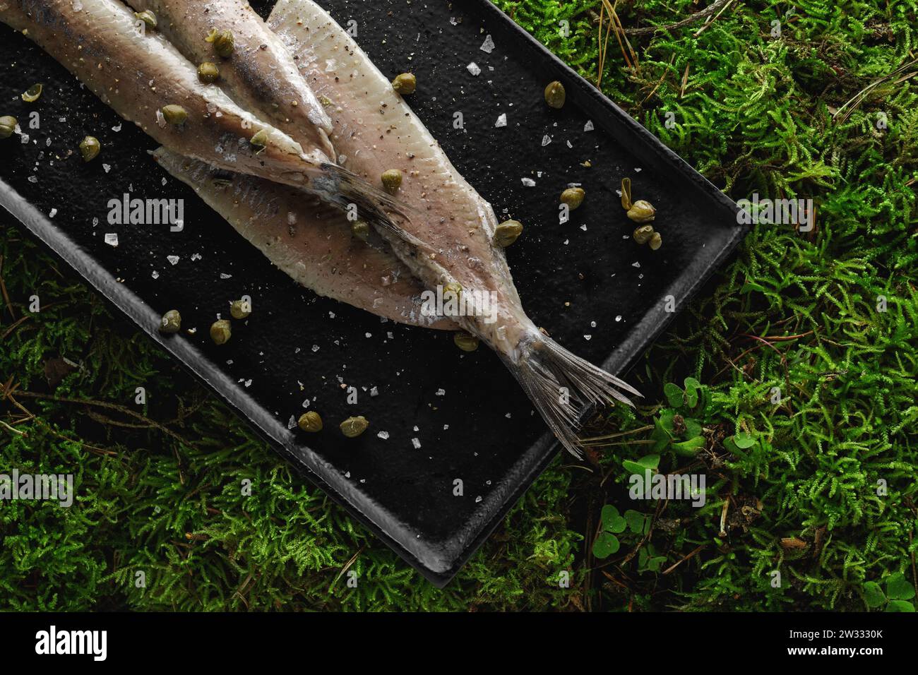 Herring fillet with capers, salt flakes and pepper served on black tray on green forest moss