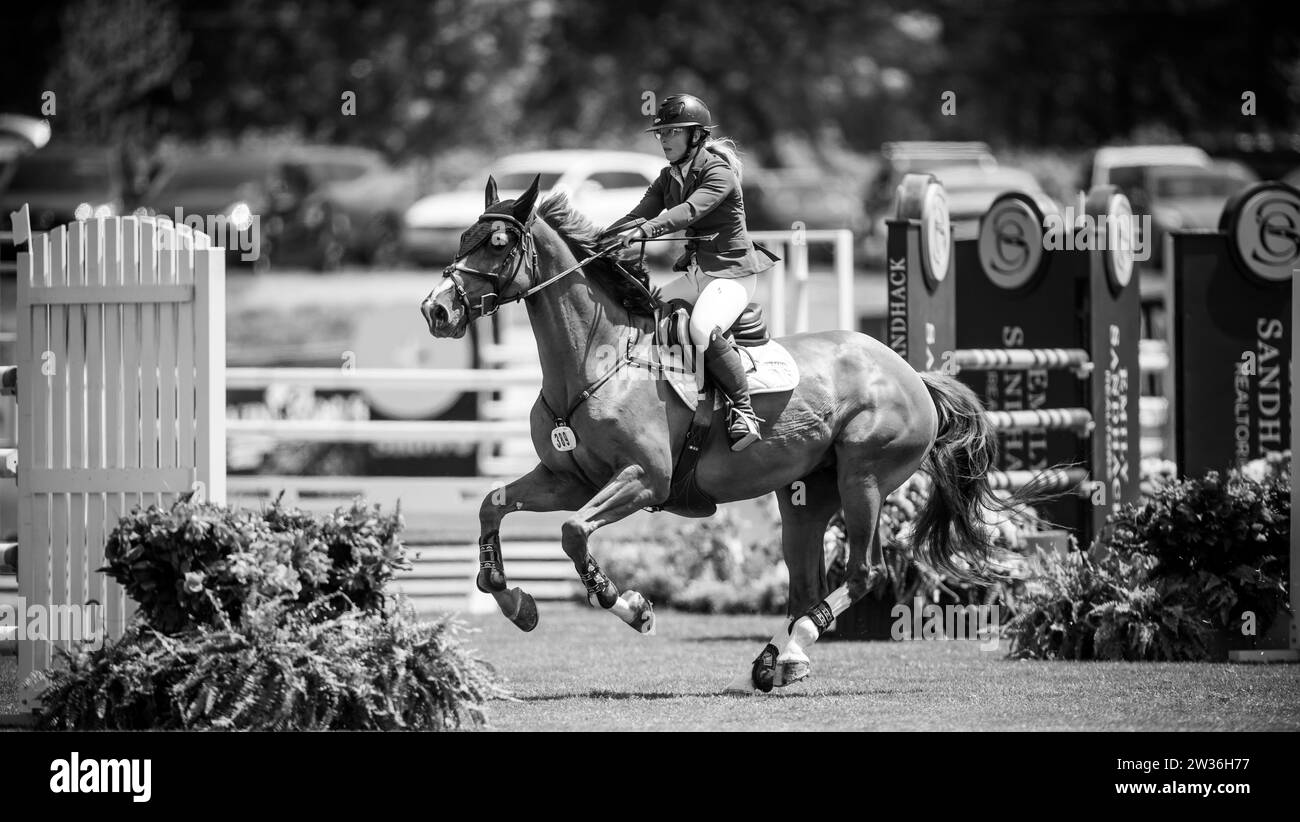 Jaydan Stettner of Canada competes at the 2023 Canadian Premier Horse Show at Thunderbird Show Park in Langley, Canada. Stock Photo