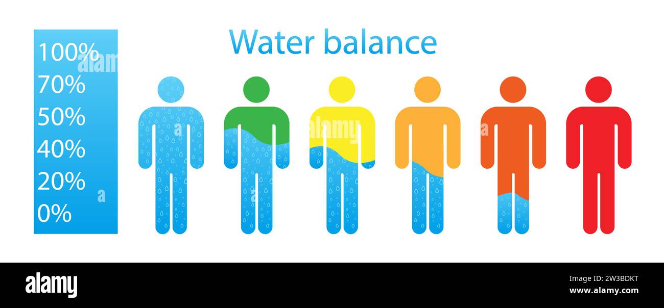 Water balance in a man in different colors illustration. Needs