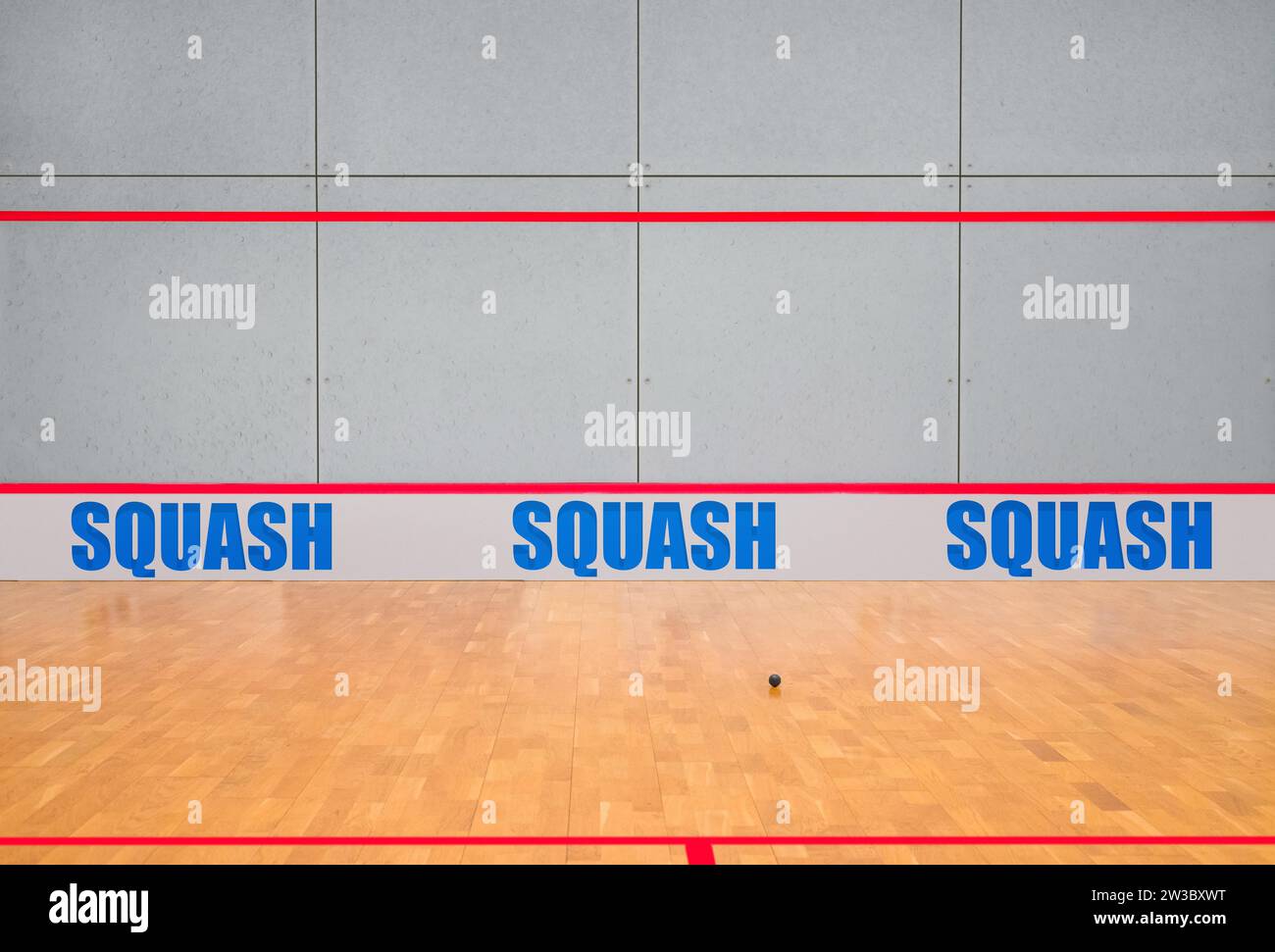 Image of a squash court. Nobody. Training room. Sport concept. Mixed