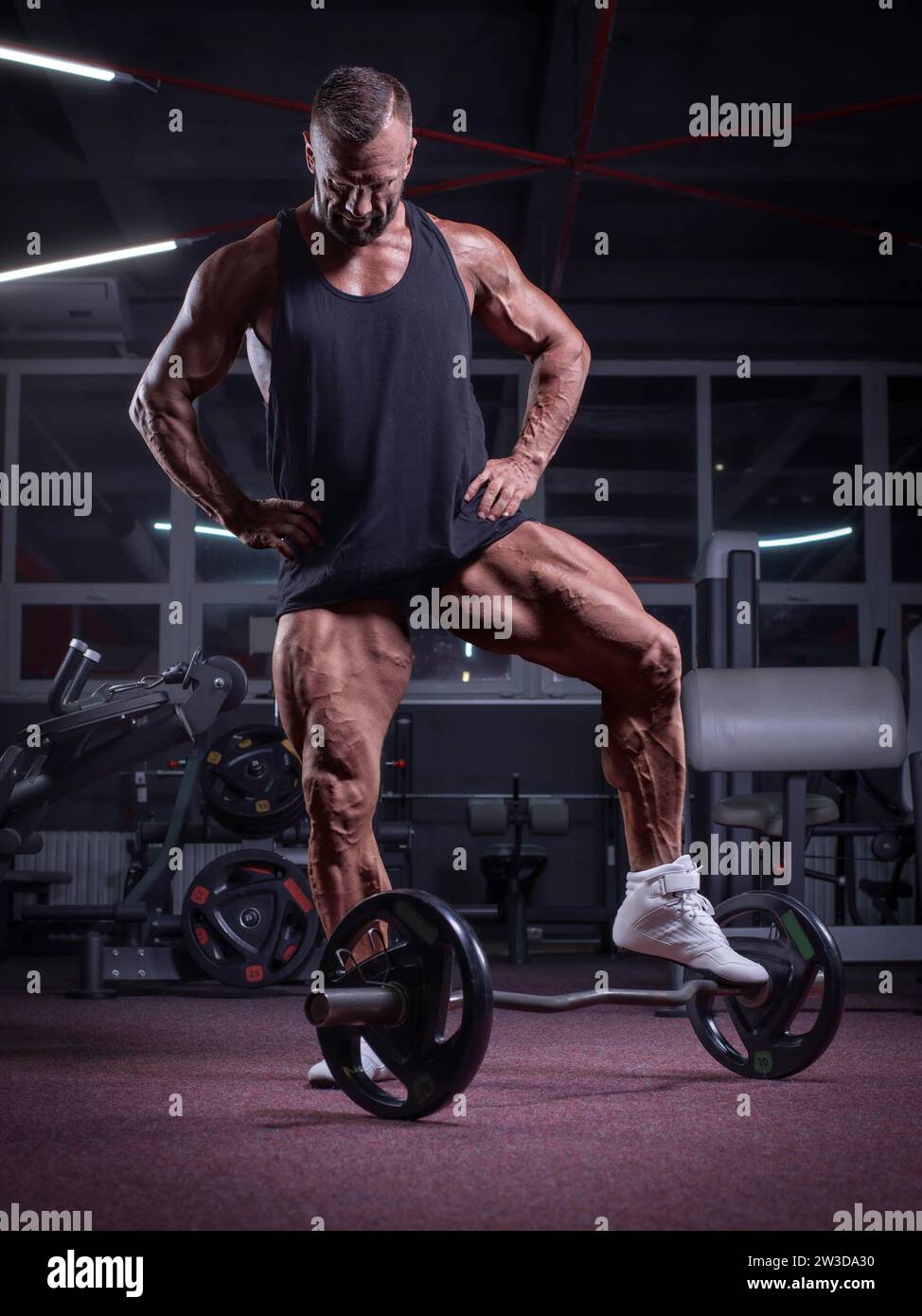 Unicycle abs plank sale