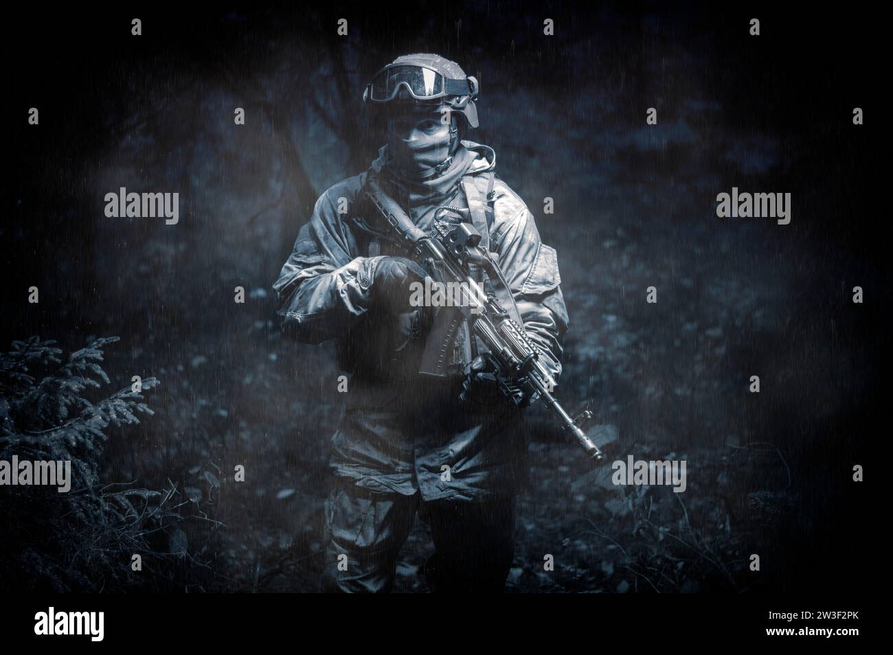 Portrait of a commando in the forest. The concept of military ...