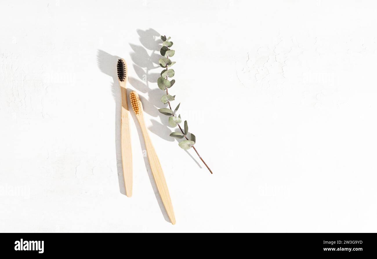 Two eco-friendly bamboo toothbrushes and eucalyptus on white background ...