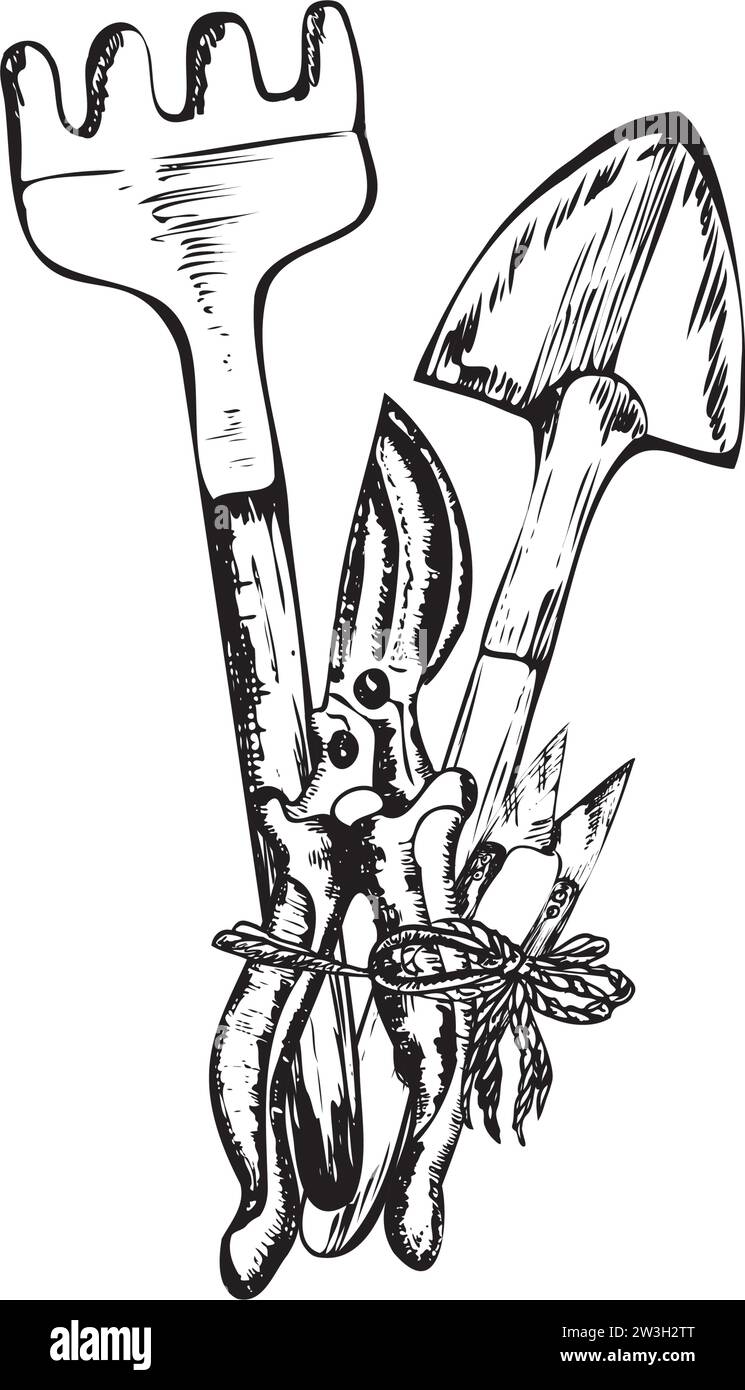 Handdrawn ink illustrations. A set of garden tools, trowels, hedge
