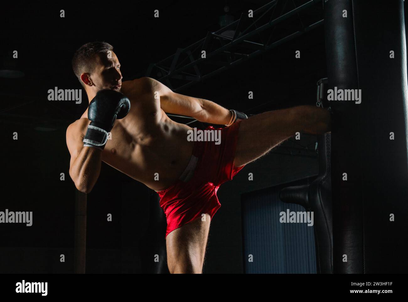 Professional sportsman of mixed martial arts stands after the fight won
