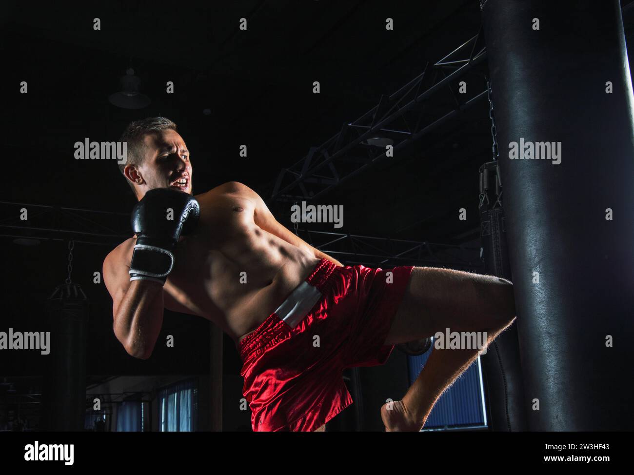 Professional sportsman of mixed martial arts stands after the fight won