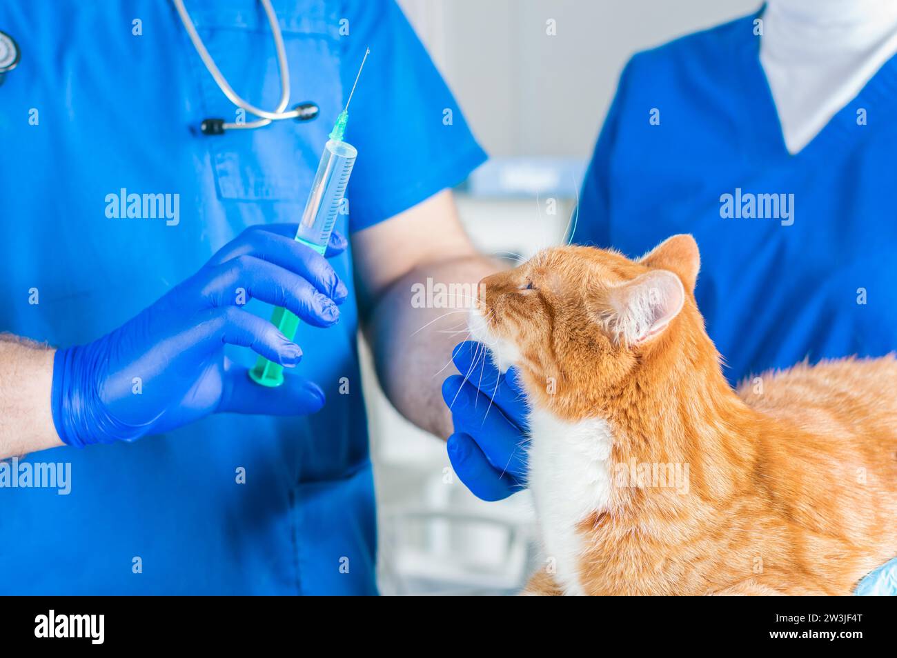 Image of the doctor's hands with a syringe in his hands. A ginger cat in the arms of a nurse. Veterinary medicine concept. Mixed media Stock Photo