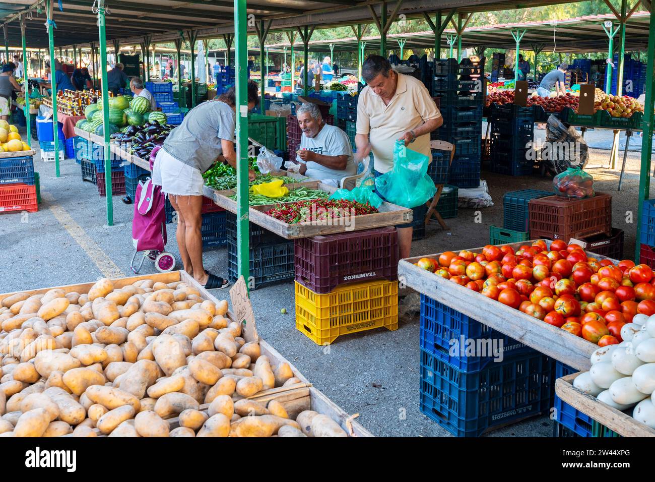 Einheimische kaufen frisches Obst und Gemüse auf dem Markt in Rhodos Stadt am frühen Morgen, Rhodos, Griechenland Stock Photo