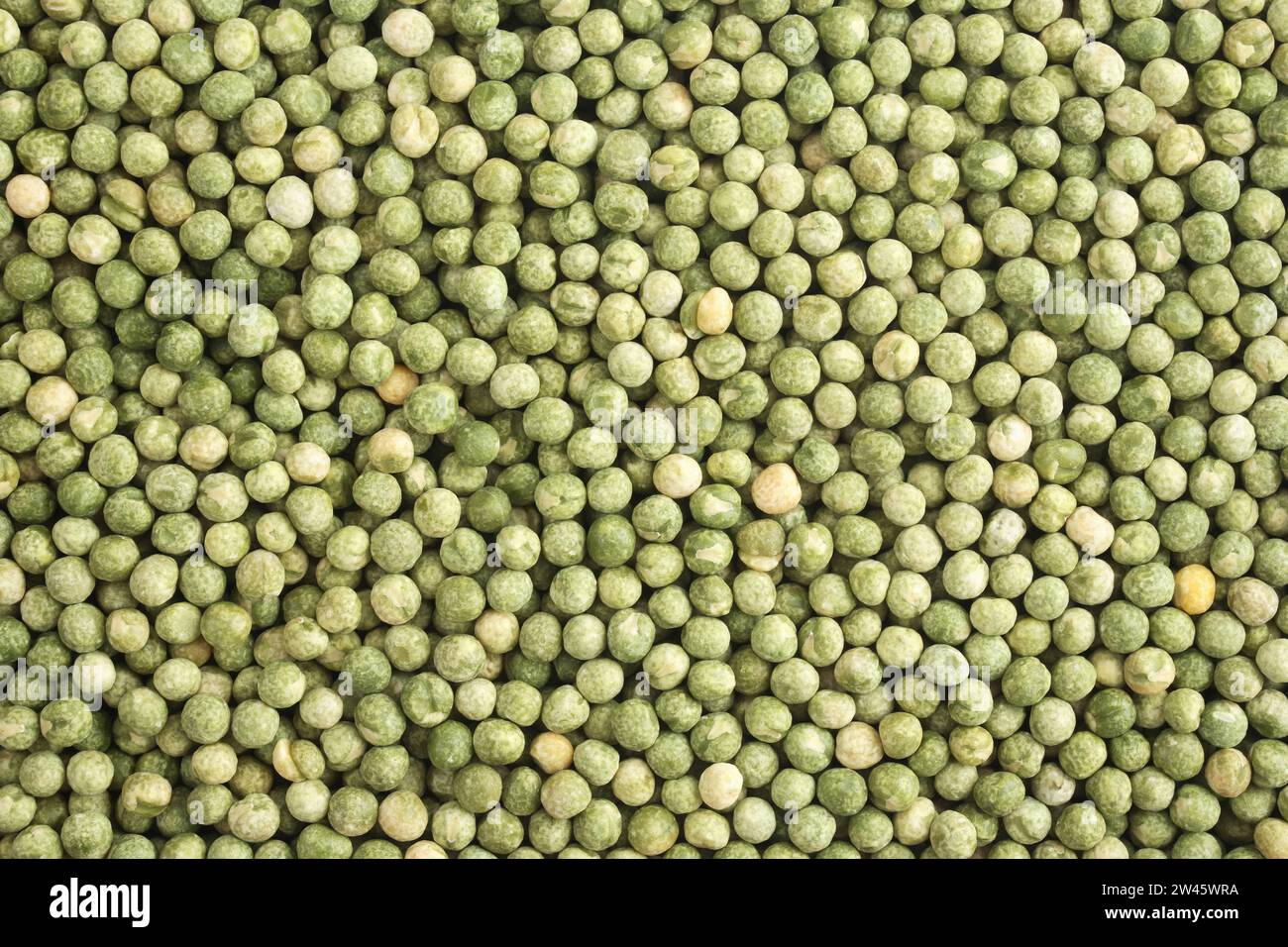 Gruene pflanzen hi-res stock photography and images - Alamy