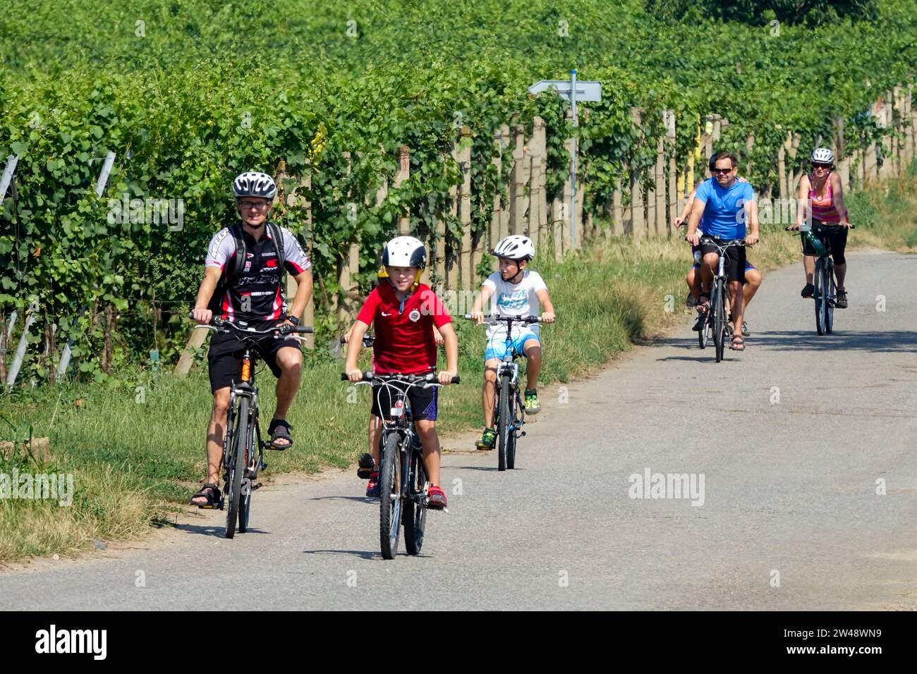 Family biking Road in vineyard South Moravia Czech Republic Europe Season People Riding Bikes Man Children Cycling roadside Stock Photo