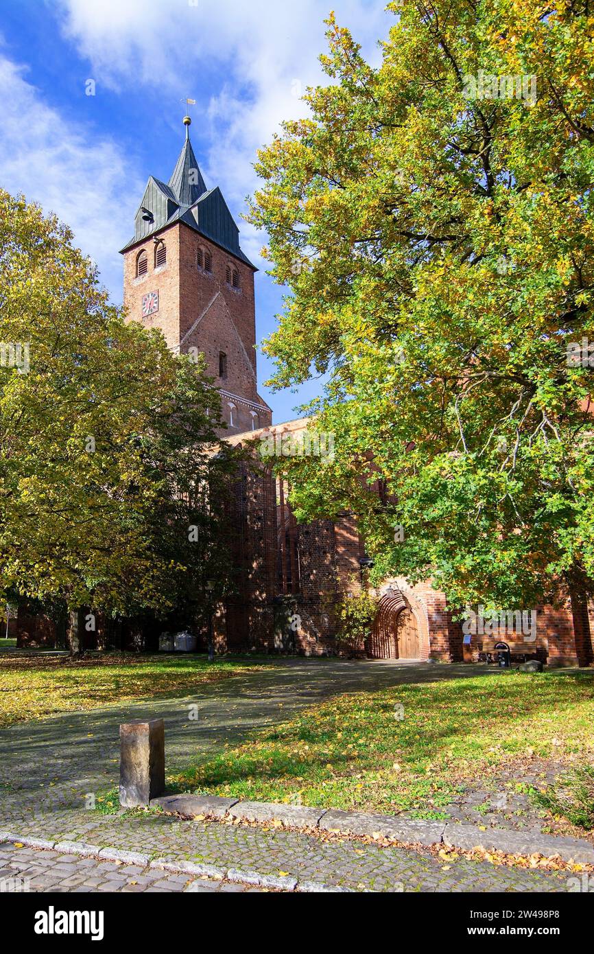 Die Nikolaikirche in Gardelegen im Norden Sachsen-Anhalts wird der Backsteinromanik und -gotik zugerechnet. Nach ihrer Zerstörung im Zweiten Weltkrieg Stock Photo