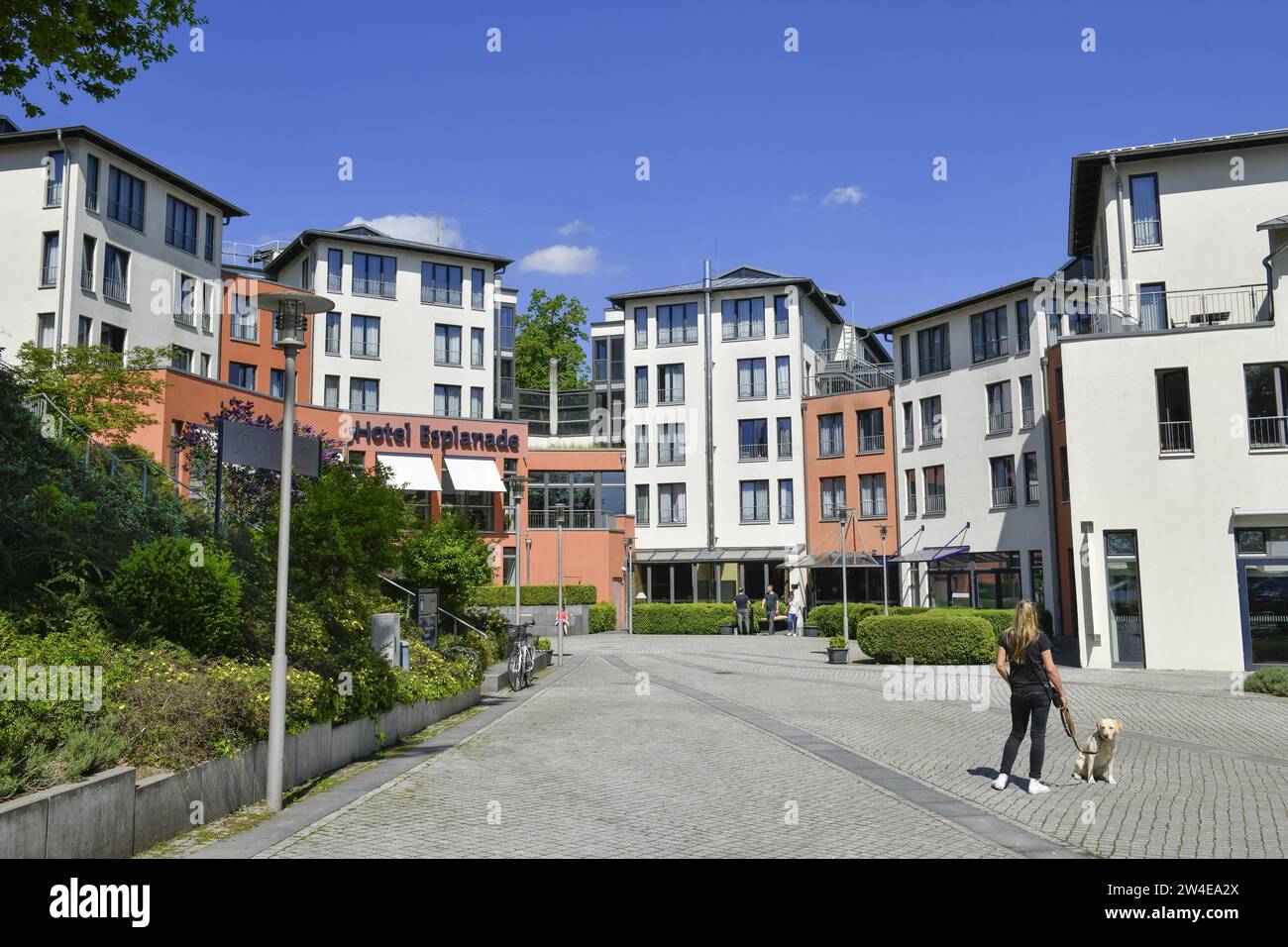hotel esplanada bad sarow
