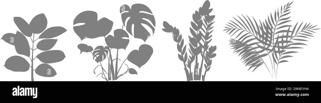 Silhouettes of indoor plants. Zamiokulkas Dollar Tree, Ficus and Monstera plant in pot. Set of icons of indoor flowers for home and office. Vector ill Stock Vector