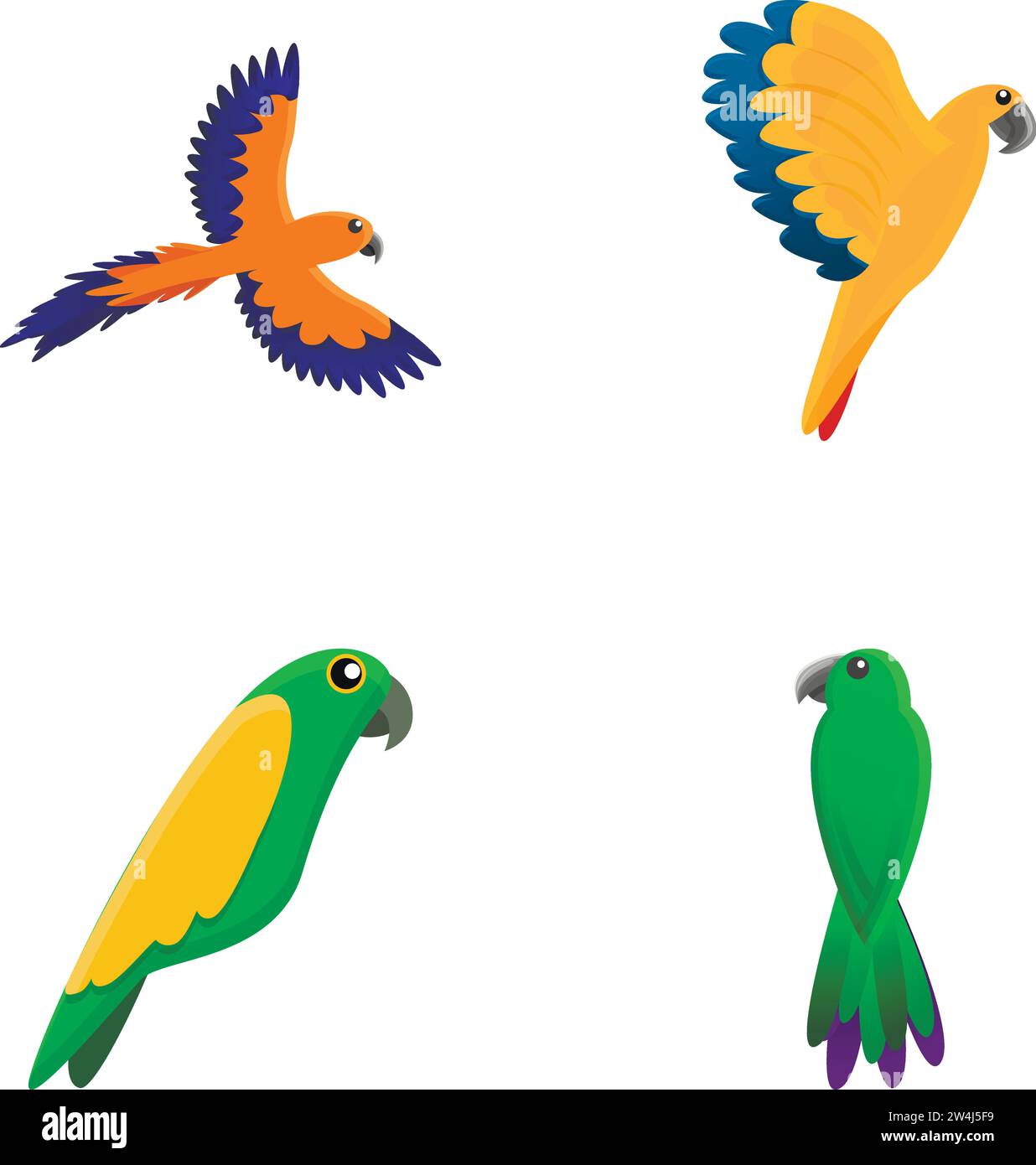 Tropical parrot icons set cartoon vector. Exotic bird. Jungle and