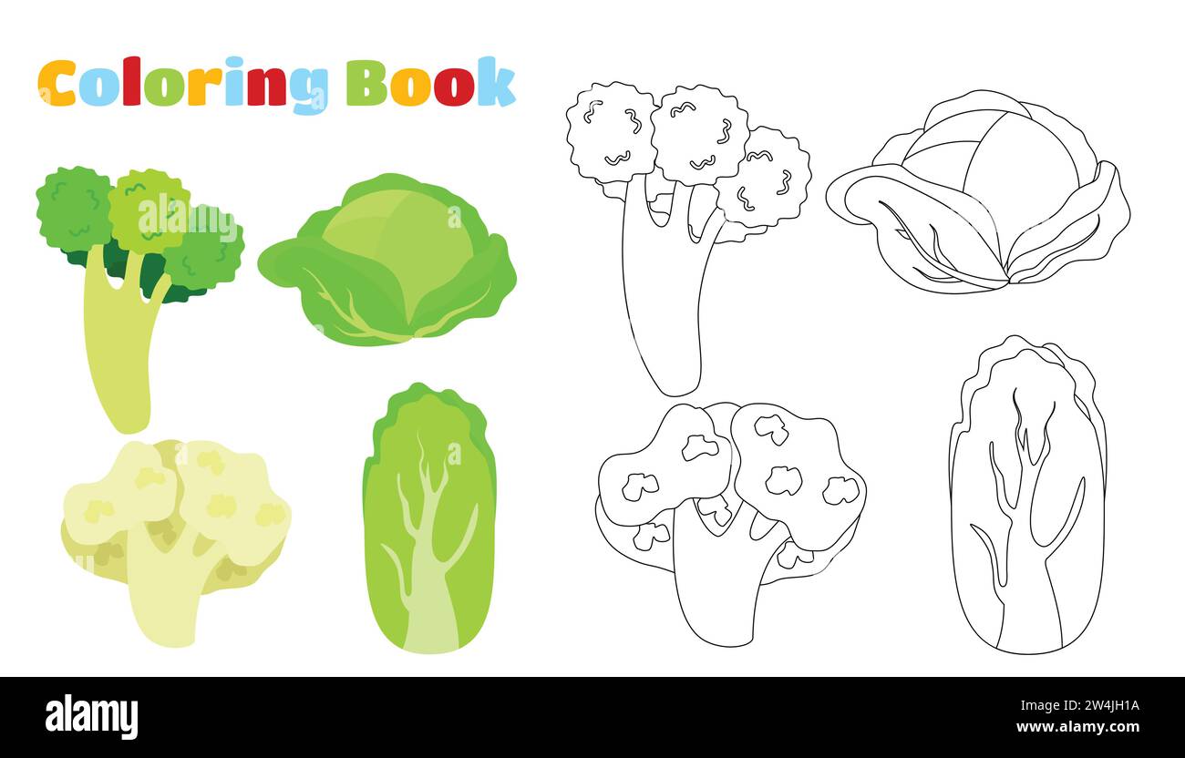 Coloring page. Set of vegetables cabbage, broccoli, cauliflower and Chinese cabbage. Stock Vector