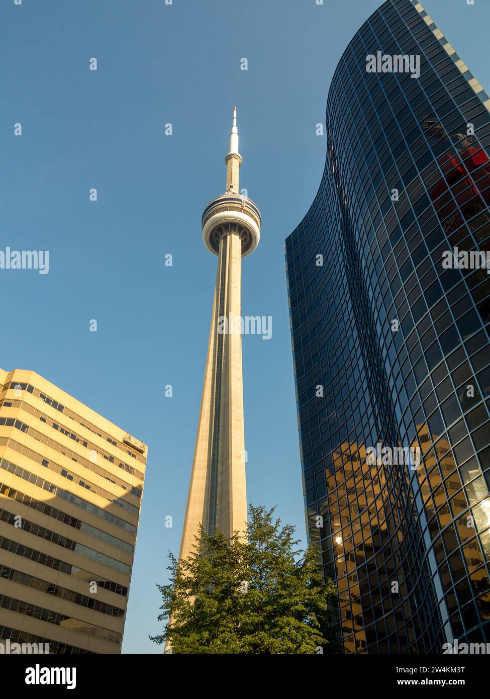 CN Tower. 290 Bremner Blvd, Toronto, ON M5V 3L9. Iconic tower over 553 meters high, with glass floor, revolving restaurant and panoramic view. Stock Photo
