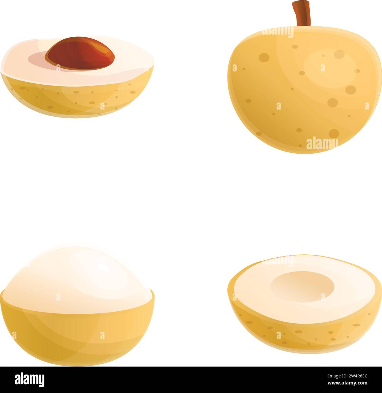 Longan fruit icons set cartoon vector. Fresh exotic fruit. Raw food ...