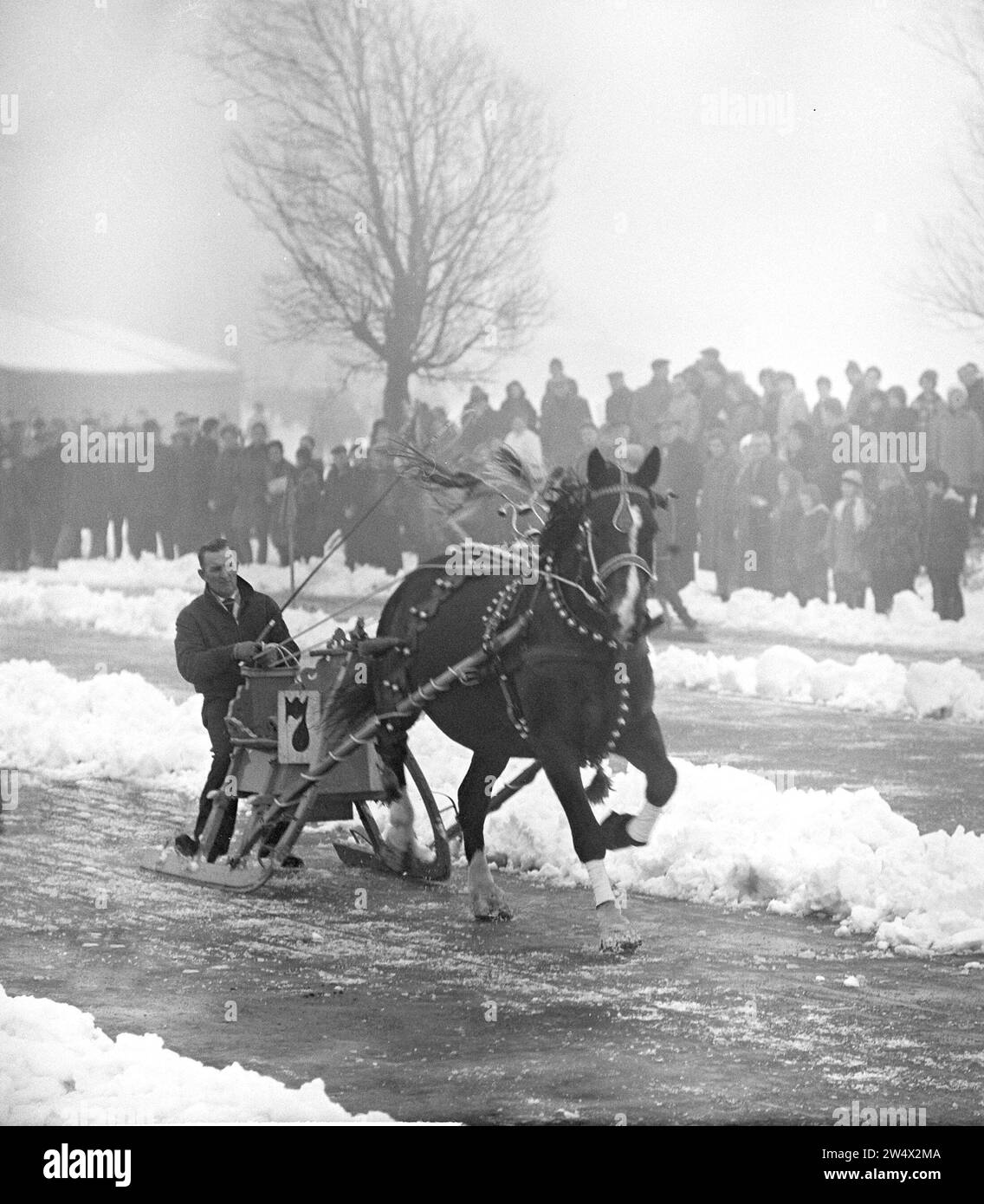 New Year's Eve harness racing in Akkrum, Poelsma with Johnny from Leeuwarden ca. January 6, 1963 Stock Photo
