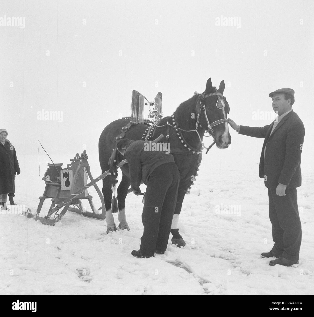 New Year's Eve in Akkrum harness racing , Poelsma with Johnny from Leeuwarden ca. January 6, 1963 Stock Photo