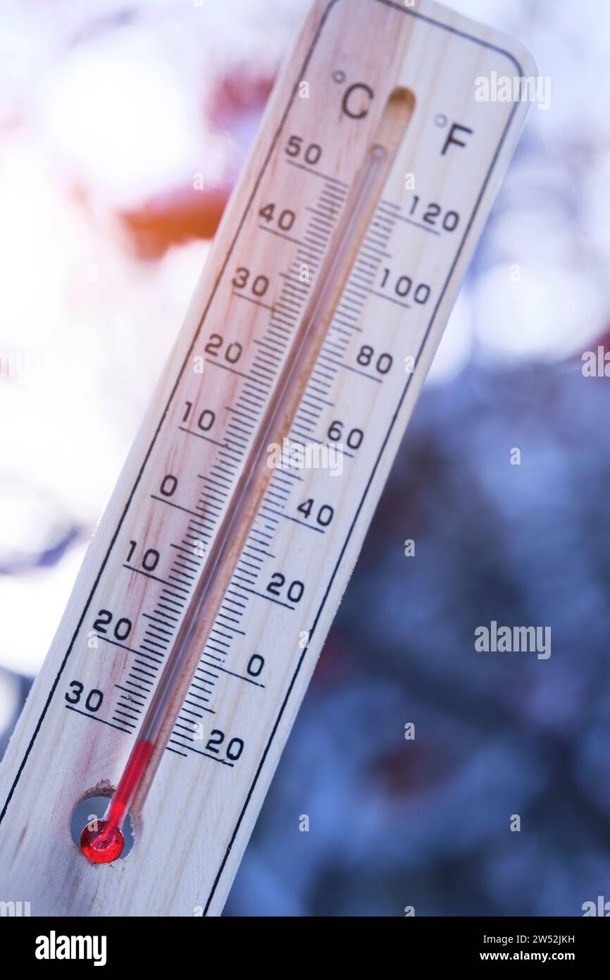 Street thermometer against background frozen mountain ash shows temperature of thirty degrees below zero Stock Photo