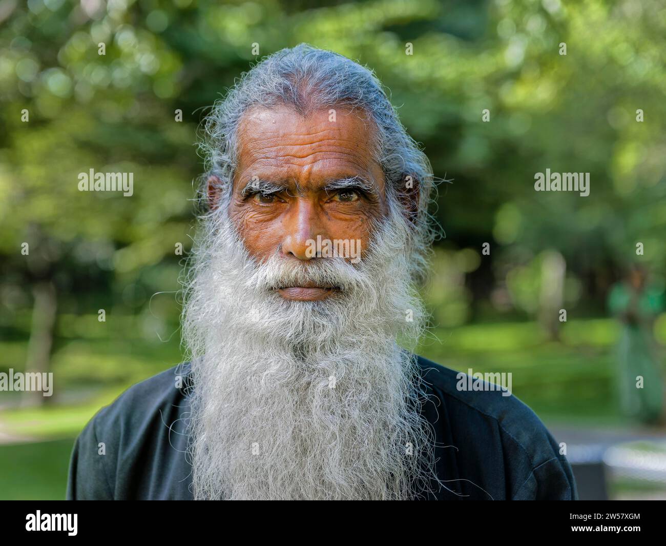Old Sinhalese man with long beard, Sri Lanka Stock Photo - Alamy