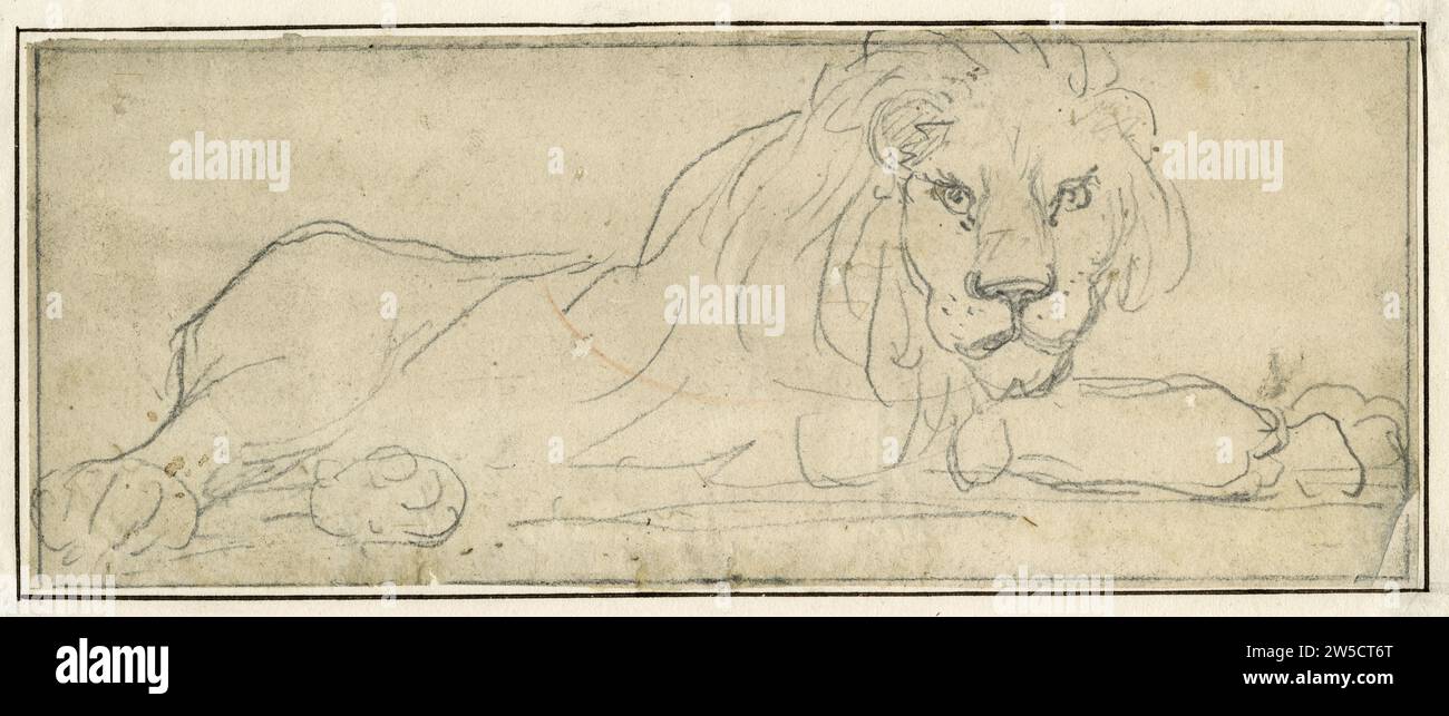 Pencil drawing of a lion from the Menagerie in the Tower of London Stock Photo