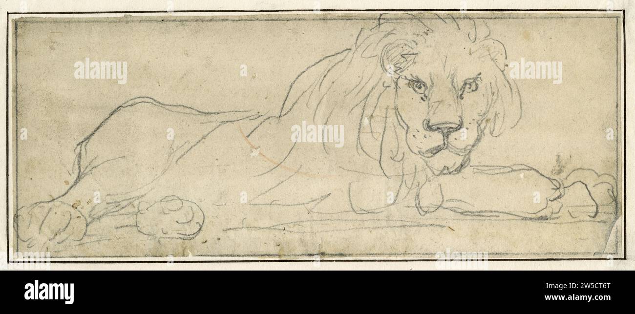 Pencil drawing of a lion from the Menagerie in the Tower of London, early 19th century. Stock Photo