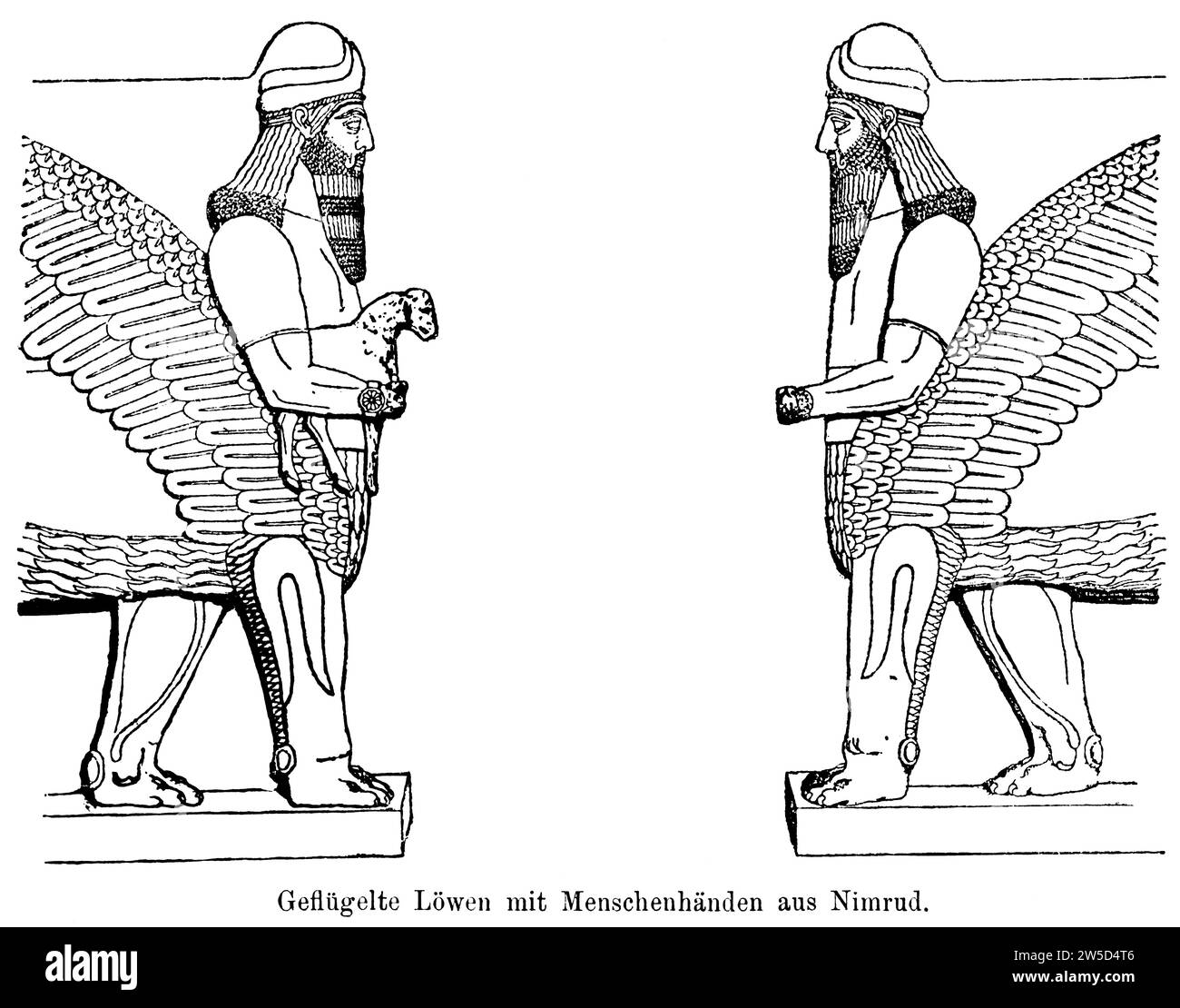 Two winged lions with human hands from Nimrud, human head, opposite, wings, feathers, beard, relief, sheep, hybrid Stock Photo