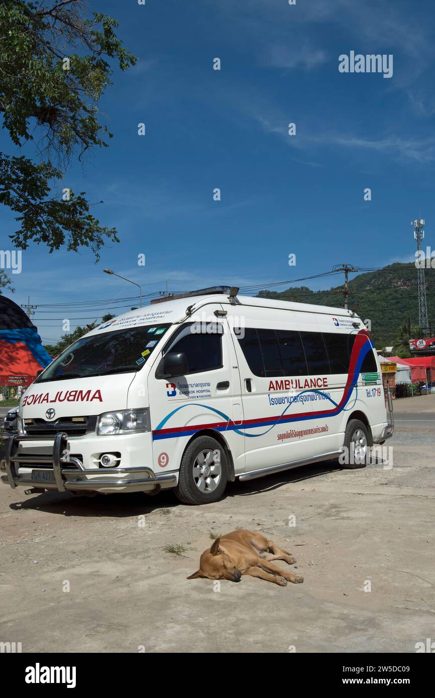 a dog sleeps on the ground in front of a bangkok ambulance, in khao yai, thailand Stock Photo