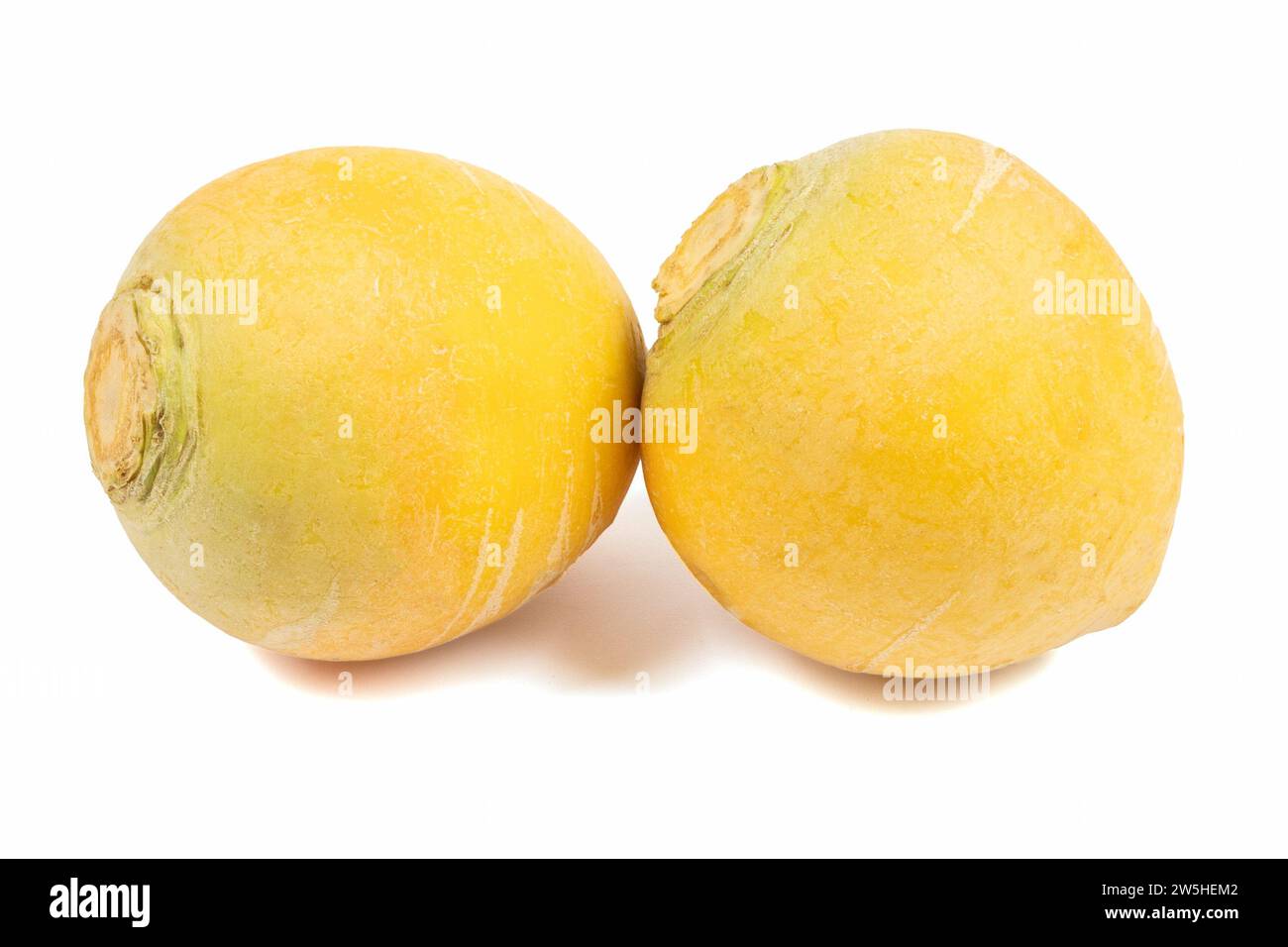 two rutabaga, close-up, isolated on a white background Stock Photo