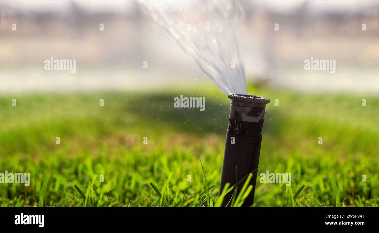 Automatic sprinkler system watering the lawn. Close-up Stock Photo - Alamy