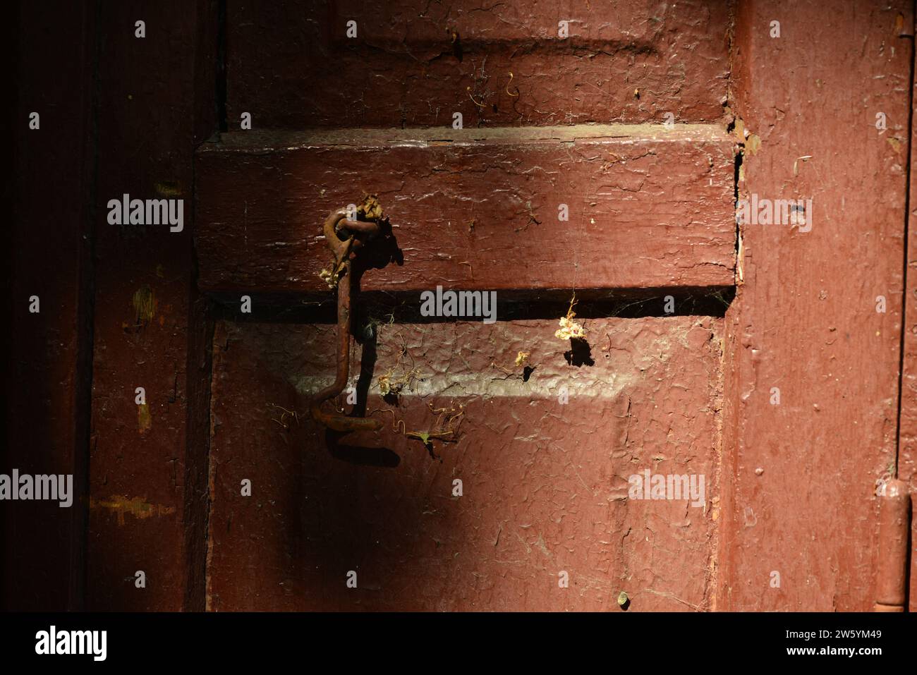 Detail of old wooden shutters with cracked paint Stock Photo - Alamy