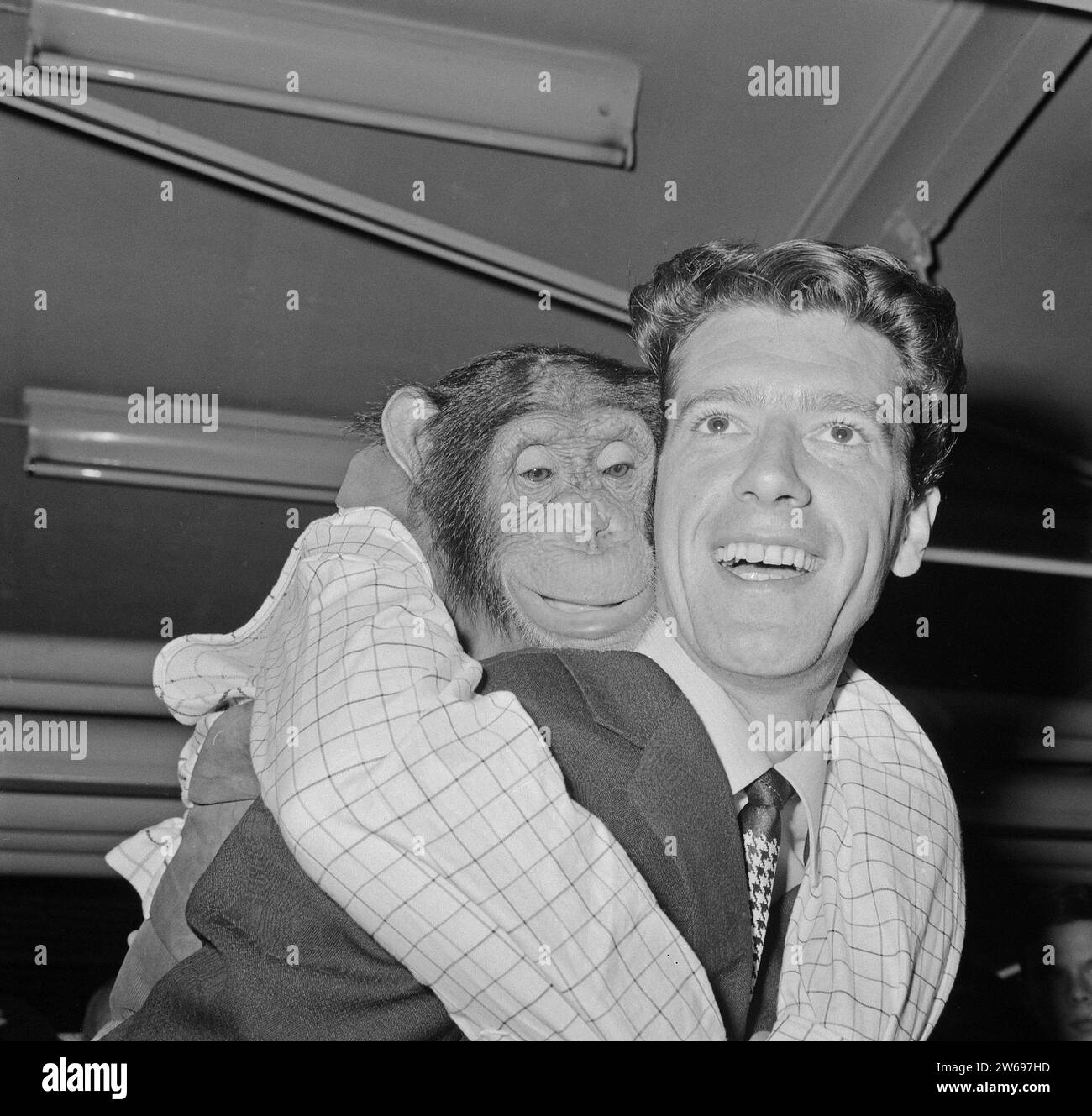 Rudi Carrell has won the silver rose. Rudi Carrell with chimpanzee Plato performing in his show ca. April 25, 1964 Stock Photo