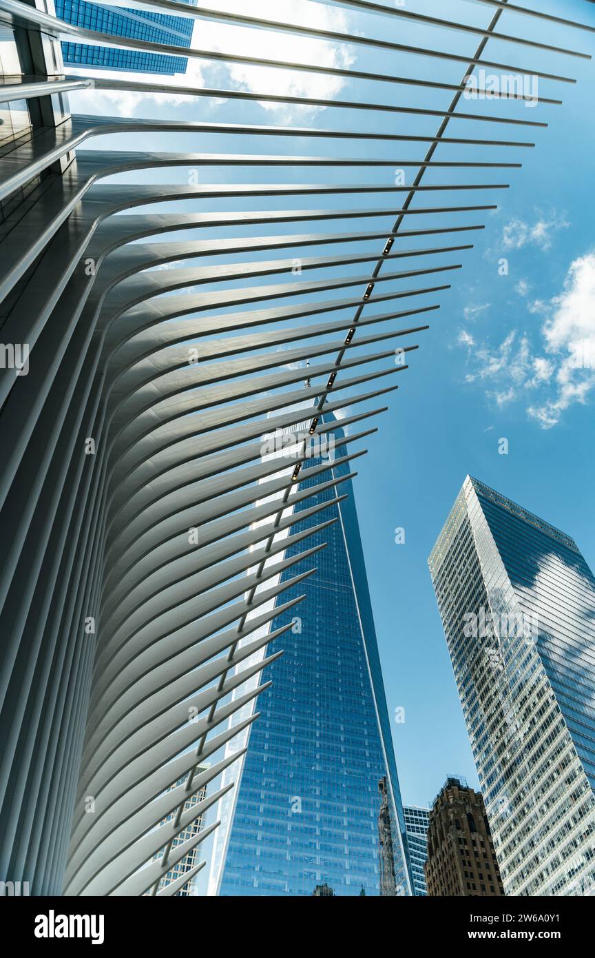 From below of contemporary high rise buildings with glass mirrored ...