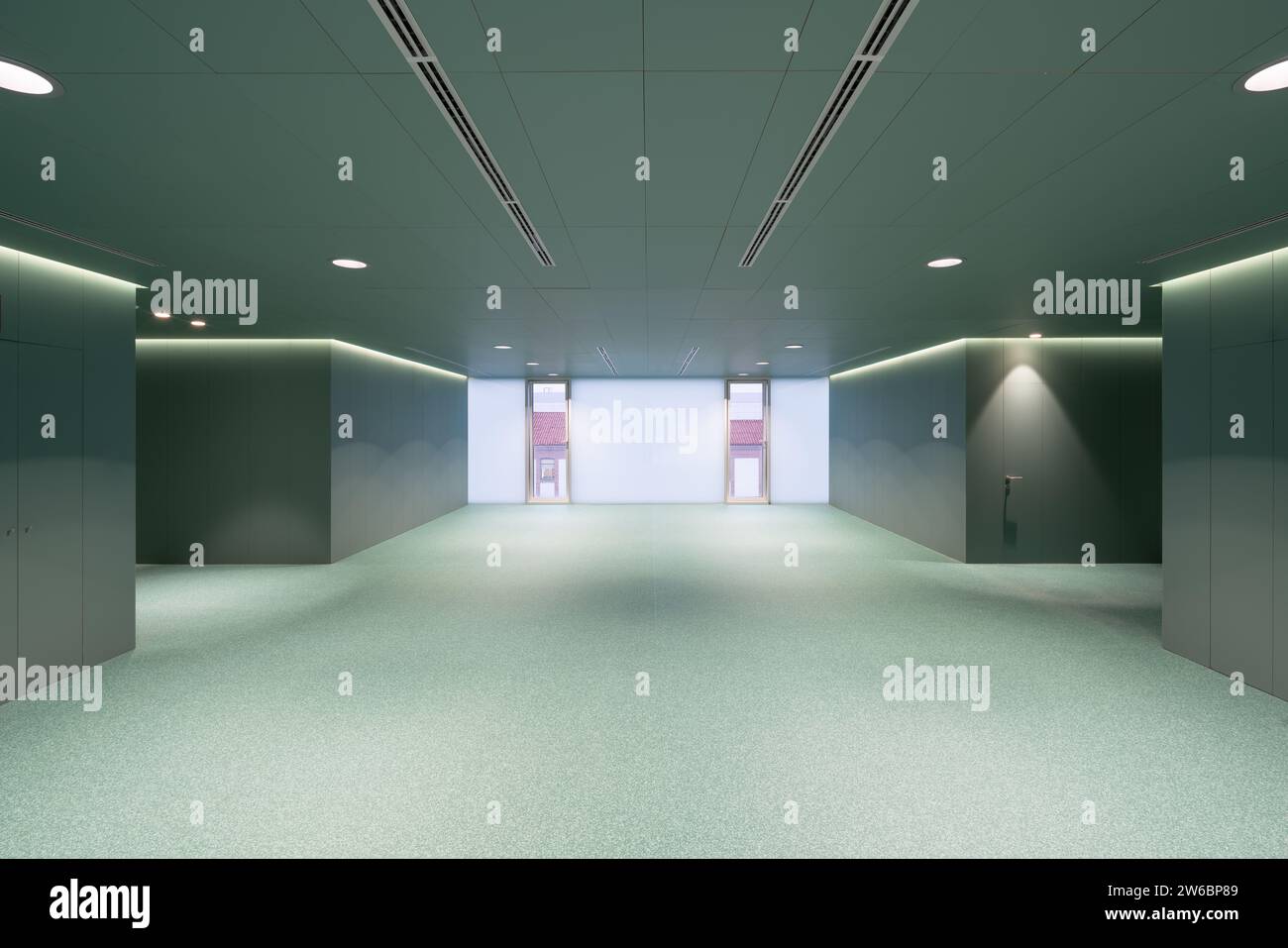 Interior of spacious empty hallway with glass doors and green walls in ...