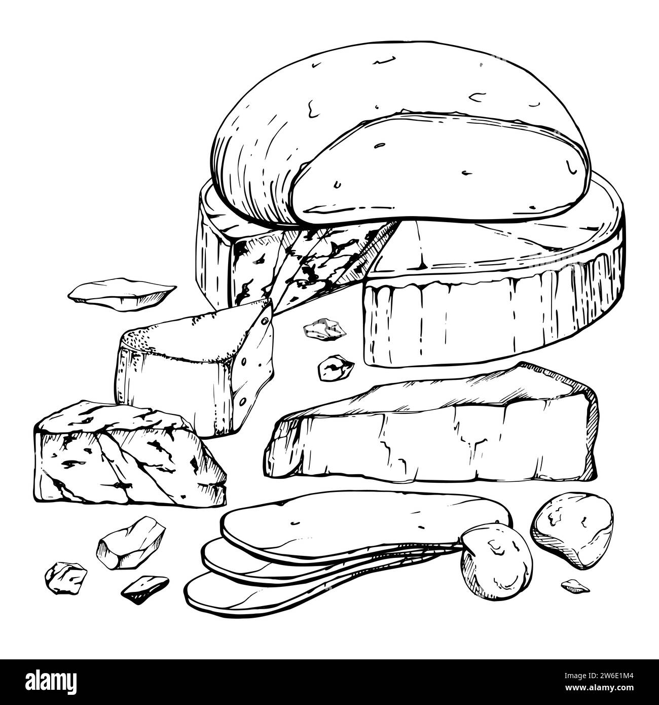 Hand drawn vector ink illustration. Assortment of cheese mozzarella