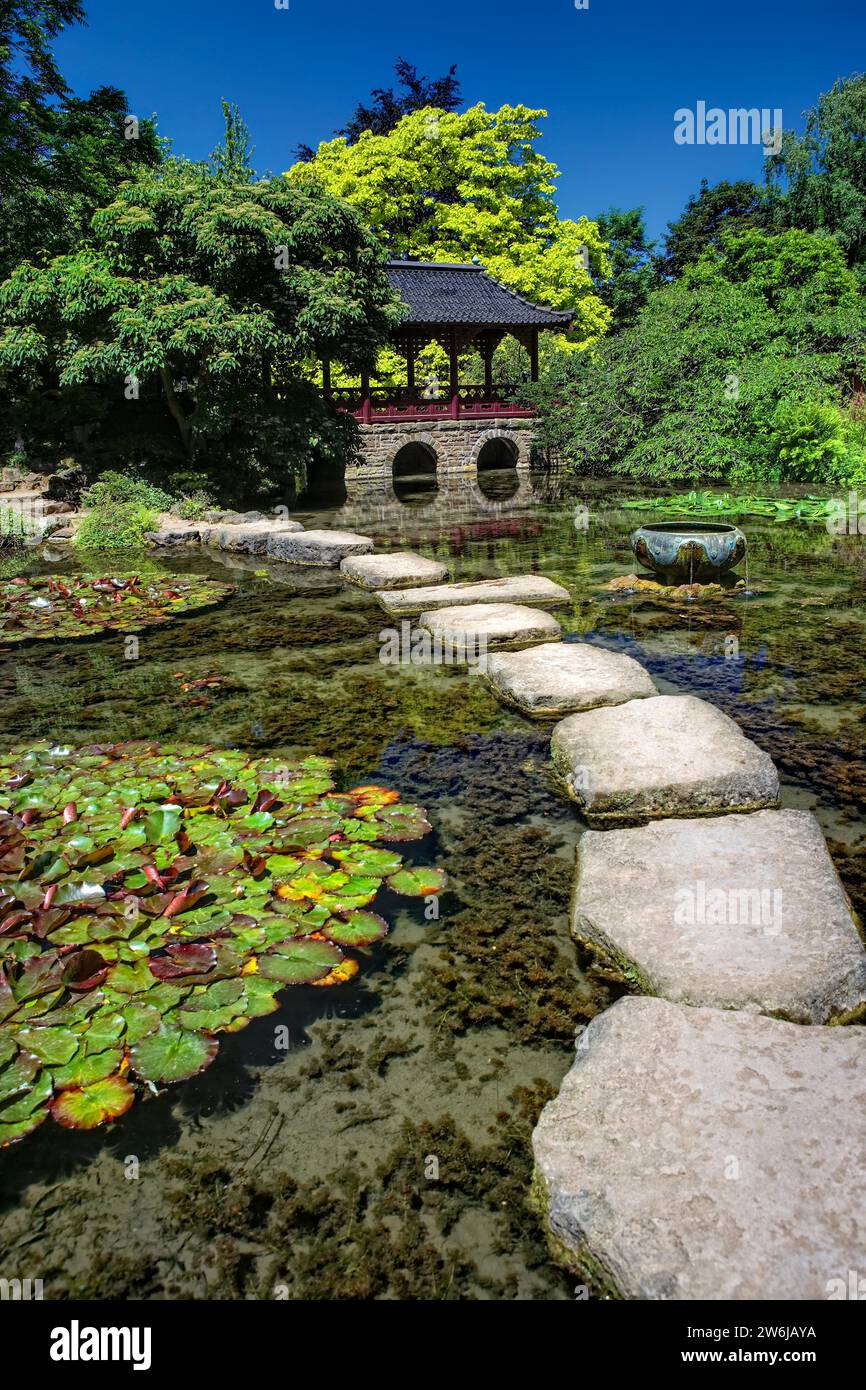 Japanese Garden, Leverkusen, North Rhine-Westphalia, Germany, Europe Stock Photo