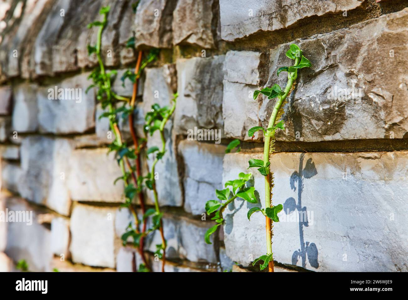 Image showcasing How Texture Impacts Building Design - architecturehelper.com