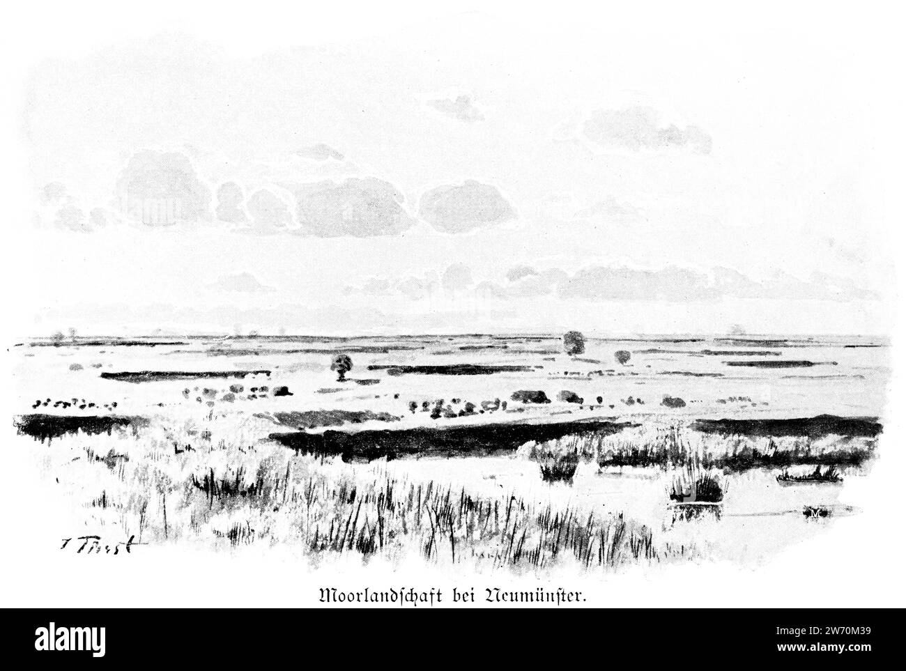 Moor near the town of Neumünster, Schleswig-Holstein, Northern Germany, Central Europe Stock Photo