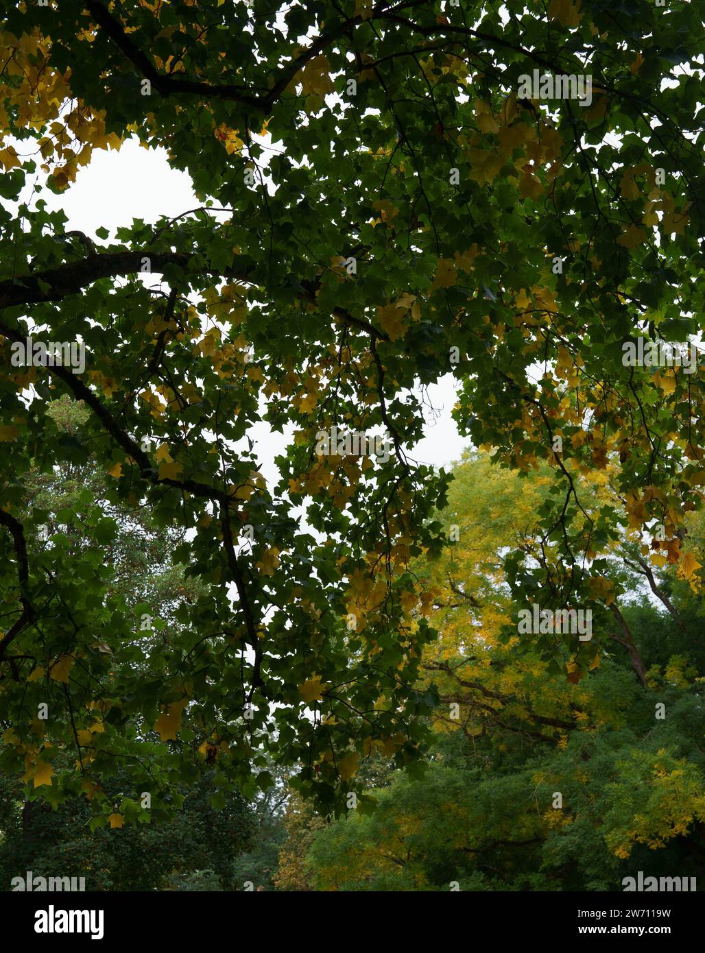 Natures fashion hi-res stock photography and images - Alamy