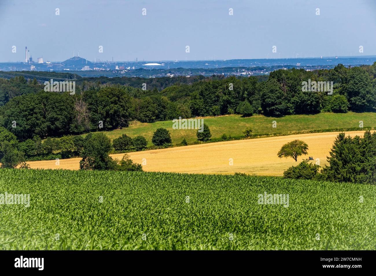 vollzeit hattingen
