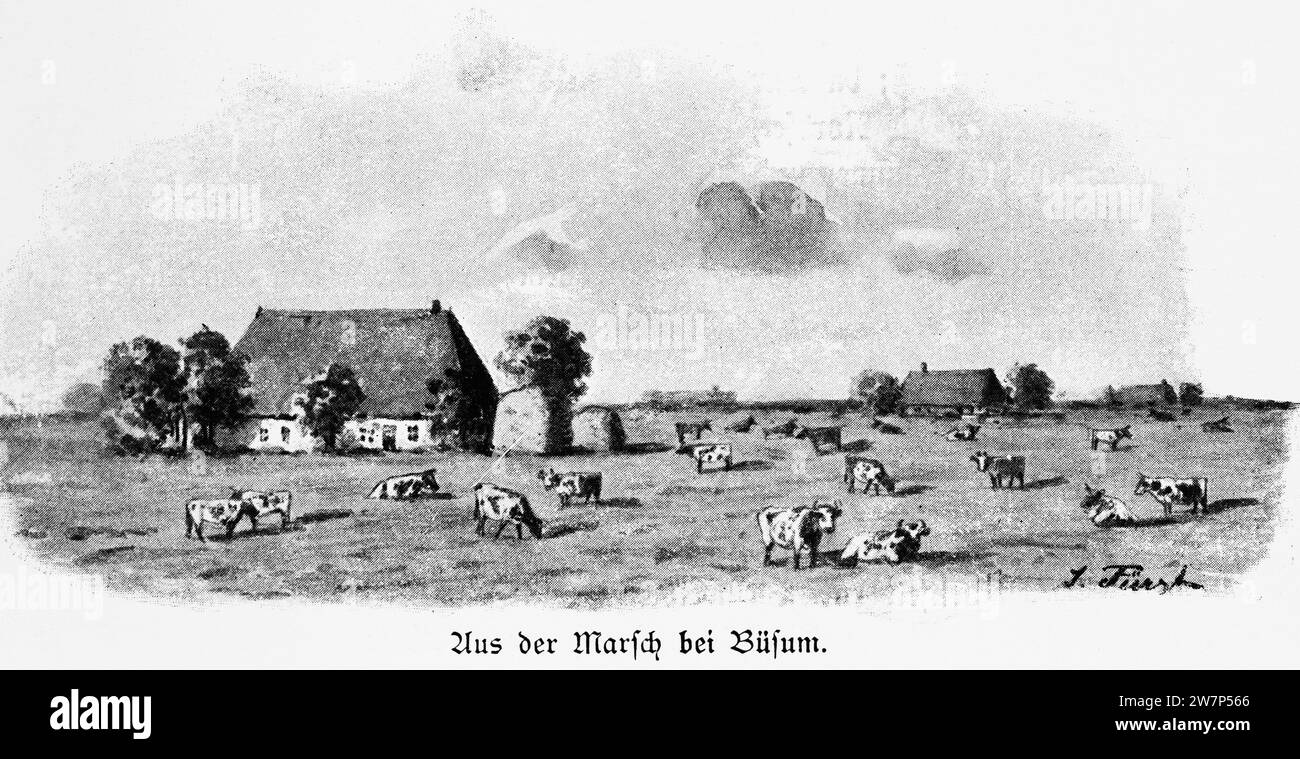 Harm houses in the Marshlands near Büsum, North Sea, Dithmarschen, Schleswig-Holstein, Northern Germany, Central Europe,histrorical Illustration 1896 Stock Photo