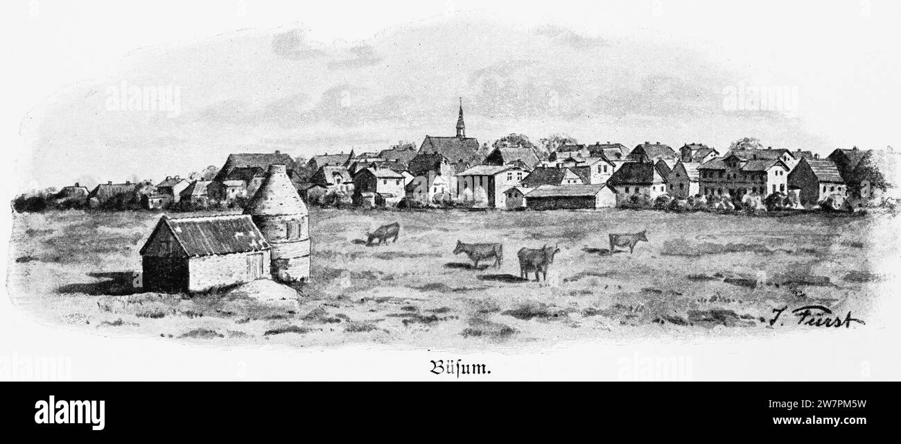 Small town of Büsum on the North Sea, Dithmarschen, SchleswigHolstein