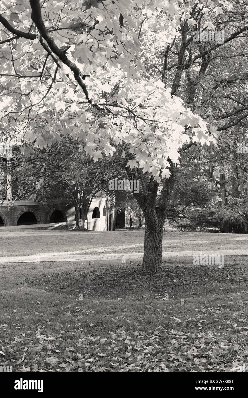 Beautiful autumn scene in hi-res stock photography and images - Alamy