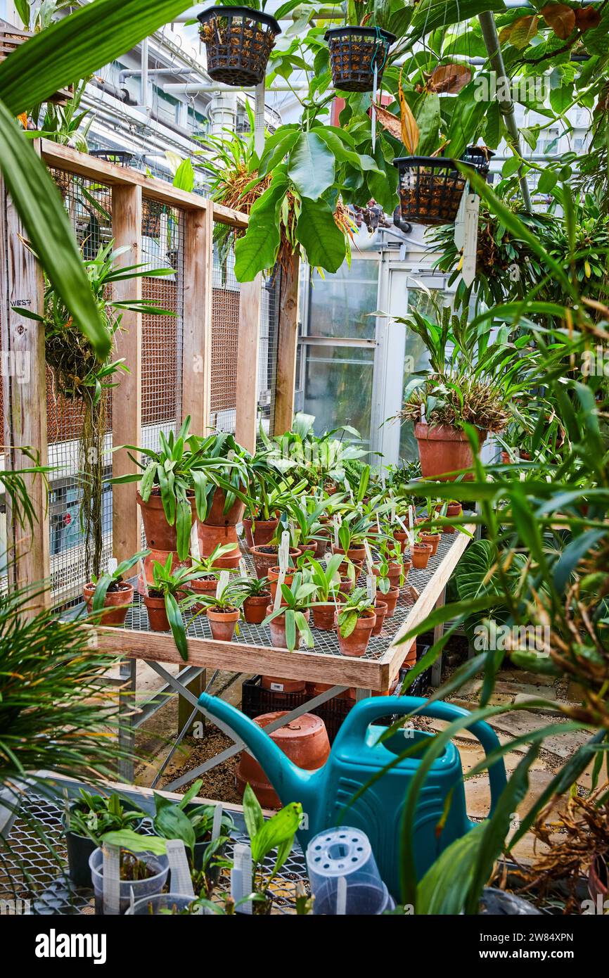 Wooden greenhouse interior hi-res stock photography and images - Alamy