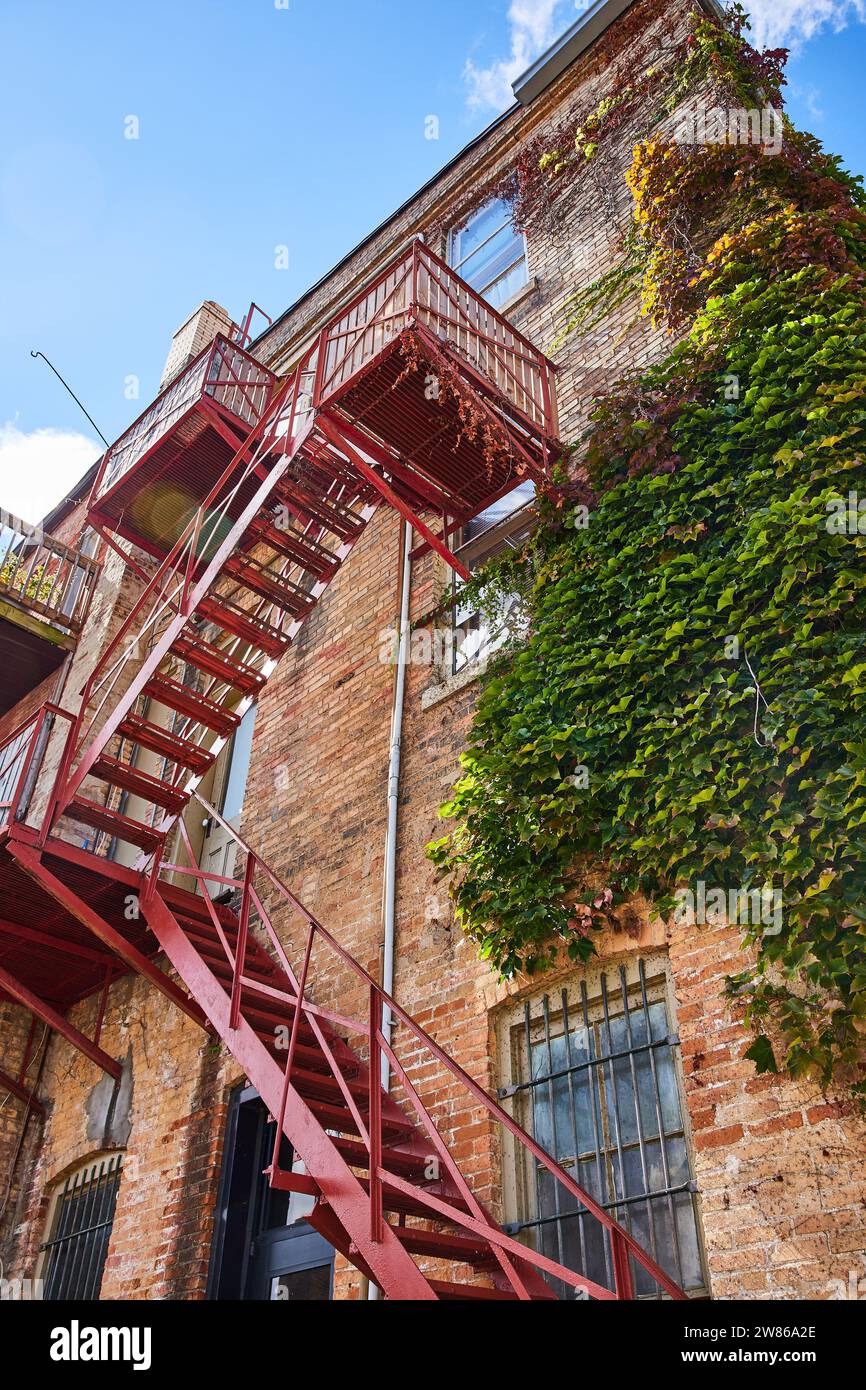 Ivy-Covered Brick Building with Red Fire Escape in Sunlight, Urban ...