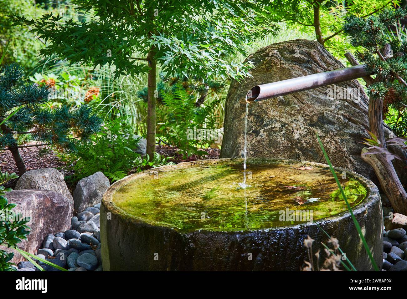 Elements of Japanese garden design: rocks, moss, gravel