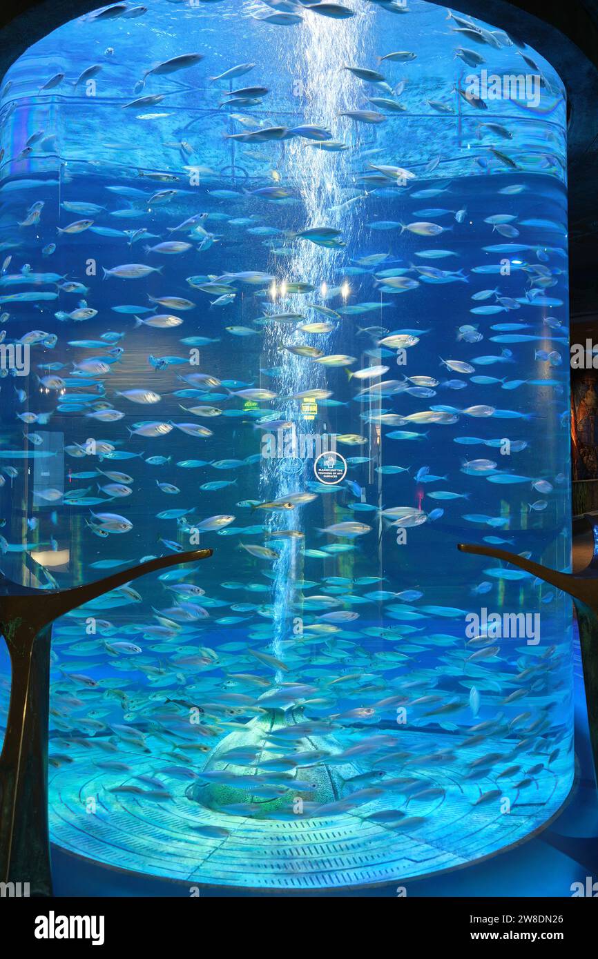 Fish filled Aquarium tank at entrance lobby of The Lost Chambers