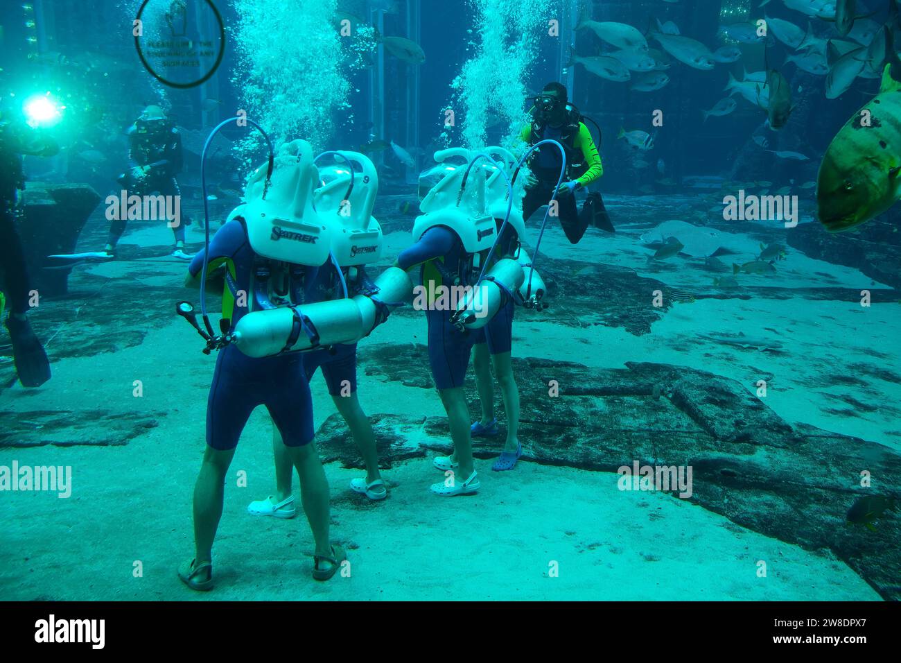 Scuba divers in the Ambassador Lagoon of The Lost Chambers Aquarium at Atlantis The Palm, Dubai, United Arab Emirates Stock Photo
